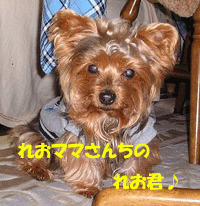 f0008935_1510459.gif