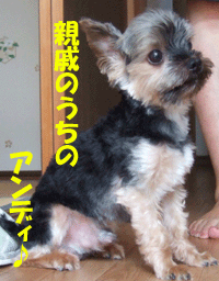 f0008935_15105444.gif