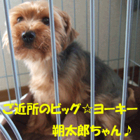 f0008935_15114522.gif