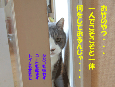 f0008935_15192092.gif