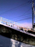 c0152241_856544.jpg