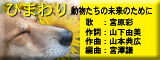 a0042044_1221372.jpg