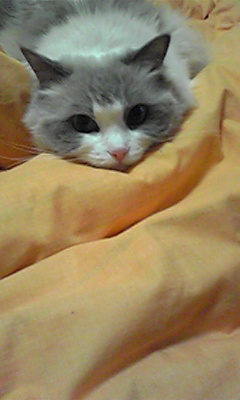 a0023647_21274391.jpg