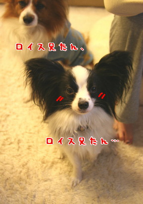 d0013149_1175414.jpg