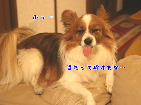 d0013149_1274339.jpg