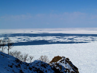 f0107364_135211.jpg