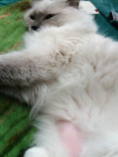 f0000673_0381140.jpg