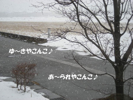 e0066883_22432775.jpg