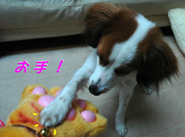 c0075585_1284688.jpg