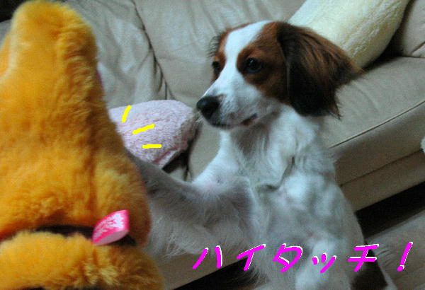 c0075585_1293645.jpg