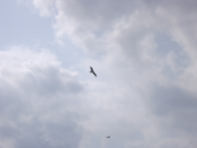 f0143386_1725176.jpg