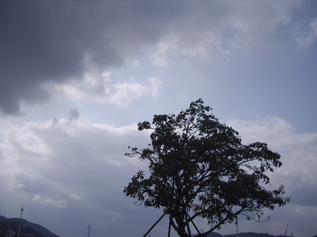 f0143386_1772811.jpg