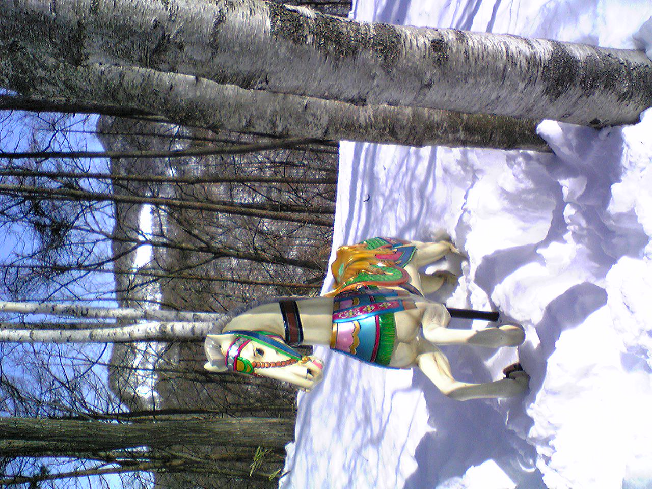 d0015489_23131967.jpg