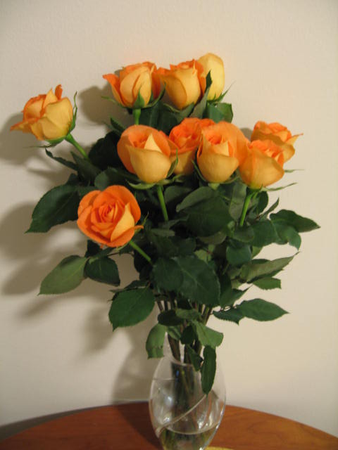f0036409_10544414.jpg