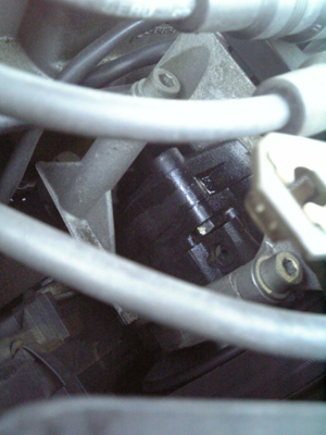 f0098210_1331330.jpg