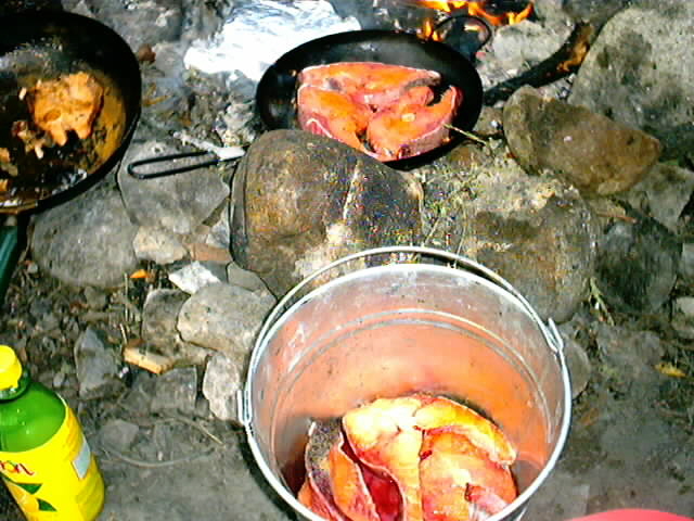 c0153411_12414048.jpg