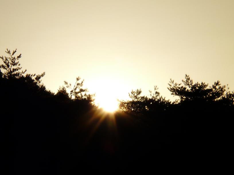 c0086014_2291673.jpg