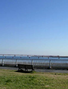 f0036716_16435713.jpg