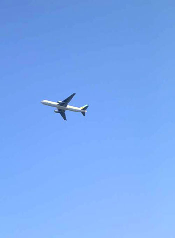 f0036716_16442248.jpg