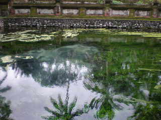 c0095424_1542610.jpg