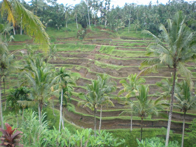 c0095424_15443567.jpg