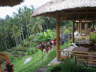 c0095424_15471639.jpg