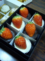c0104529_012382.jpg