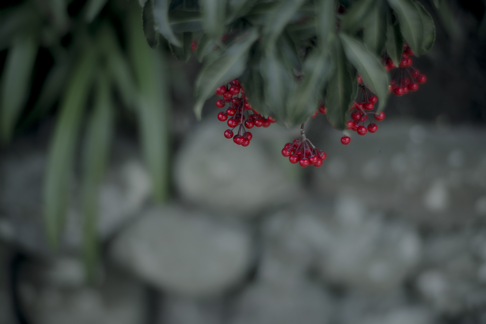 d0004832_9354885.jpg