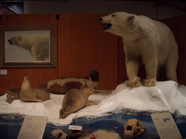 e0066733_20562177.jpg