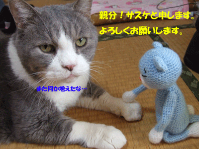 f0008935_12144883.gif