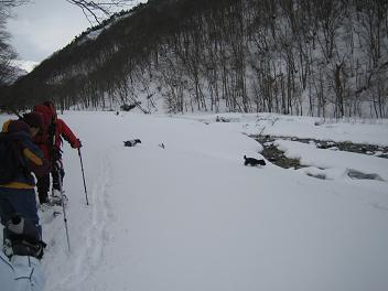 f0107145_20104467.jpg