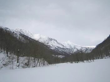 f0107145_2015155.jpg