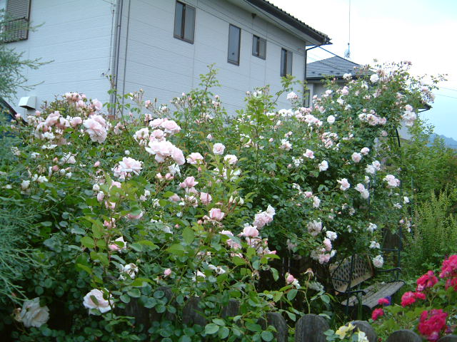 e0128656_2120167.jpg