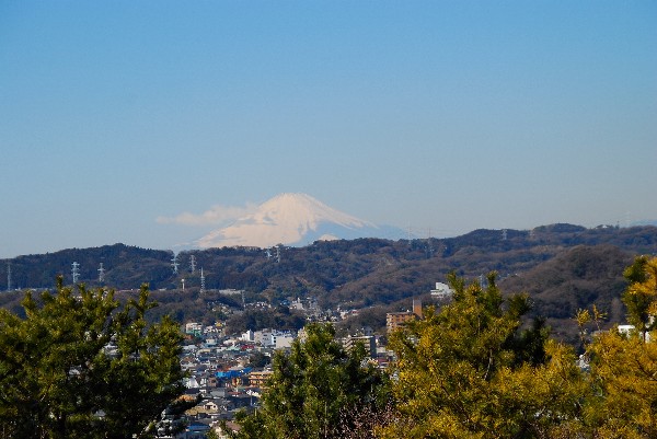 e0020166_6565680.jpg
