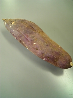 b0069471_1453838.jpg