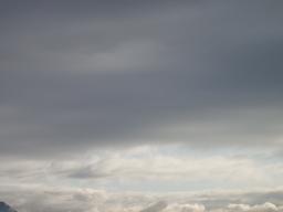 e0122194_8155565.jpg