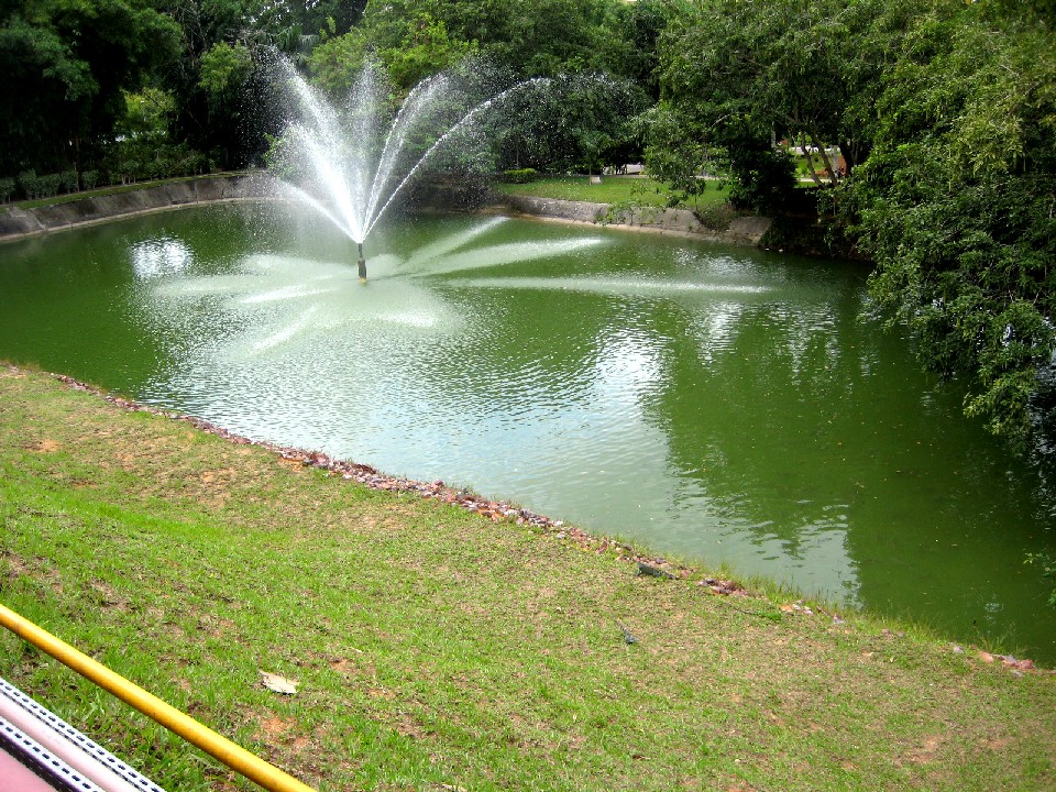 e0118096_9401563.jpg