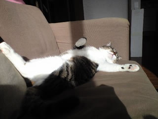 c0035001_17252818.jpg