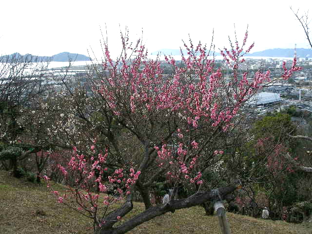 c0036203_21245431.jpg