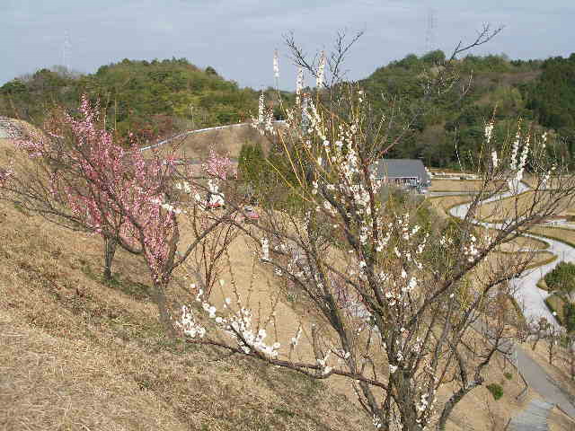 c0036203_21501356.jpg