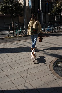e0121418_21353481.jpg
