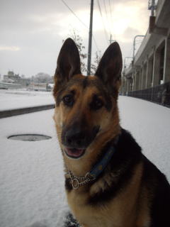 c0090220_941532.jpg
