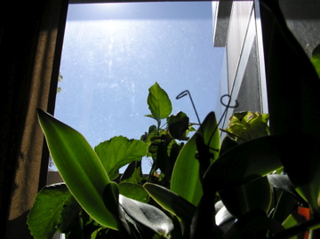f0128723_14145771.jpg