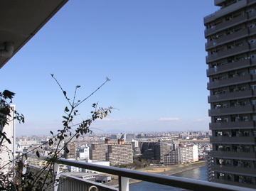 f0128723_148815.jpg