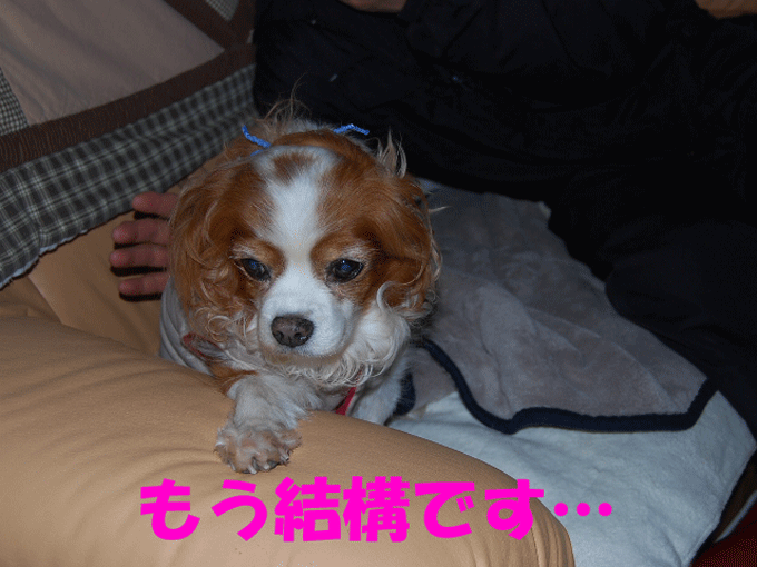 c0136838_18412984.gif