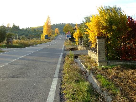 d0136342_1681883.jpg
