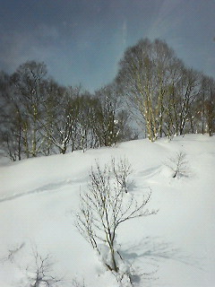 f0128843_12295294.jpg