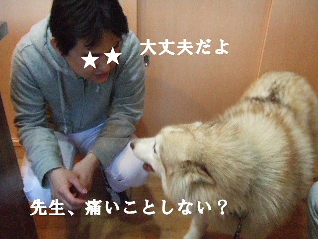 e0121548_20383371.jpg