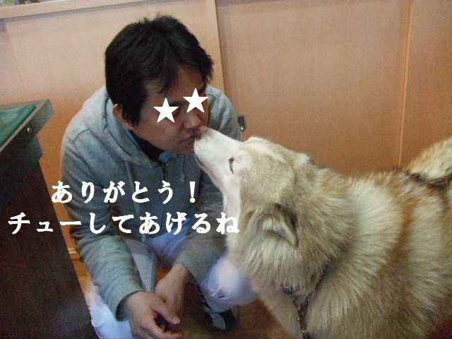 e0121548_2039557.jpg