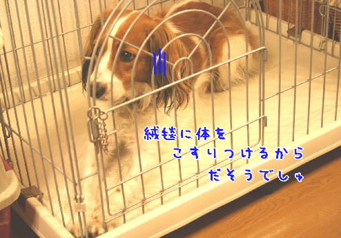 d0013149_9152857.jpg